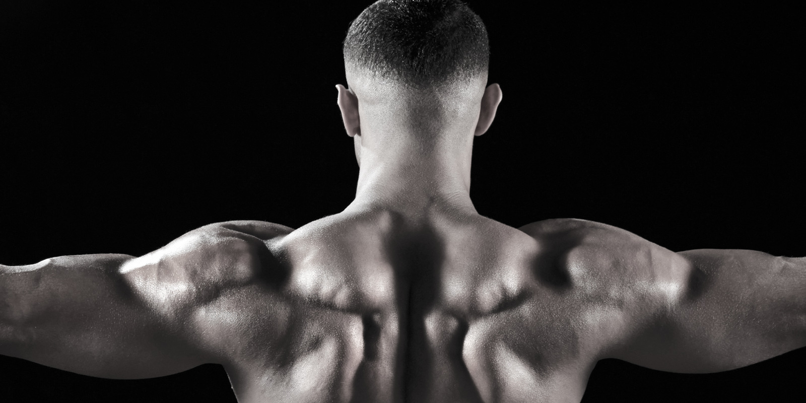 The ultimate guide to building bigger traps: Everything you need to know