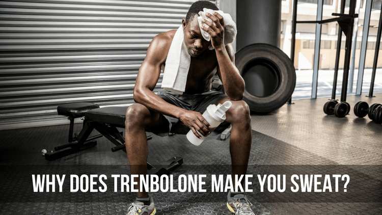 Trenbolone Makes You Sweat