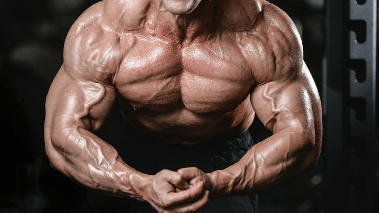 Prohormones Vs Steroids